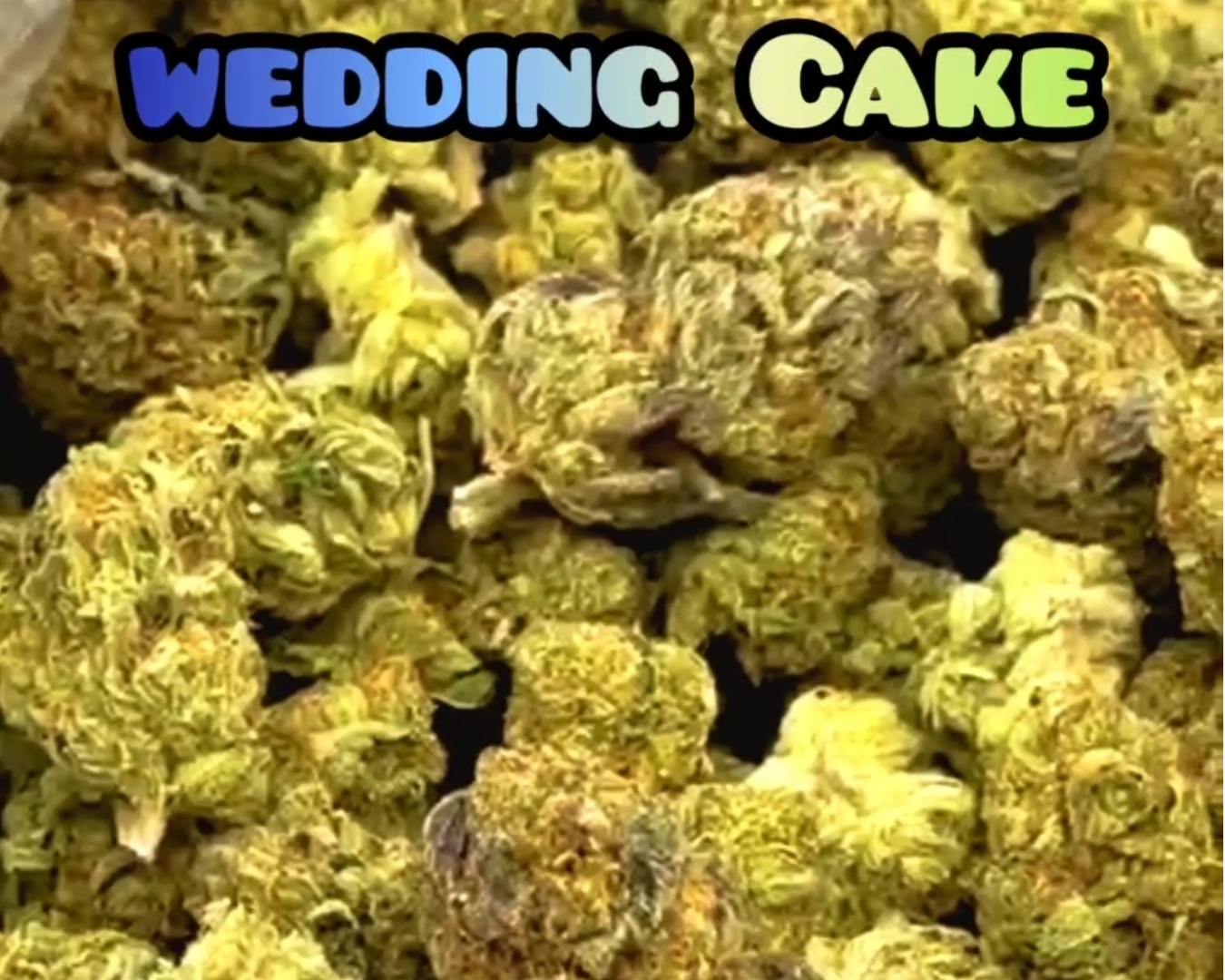 STRAIN #5 - Wedding Cake - Hybrid